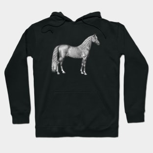 Palomino Horse Black and White Illustration Hoodie